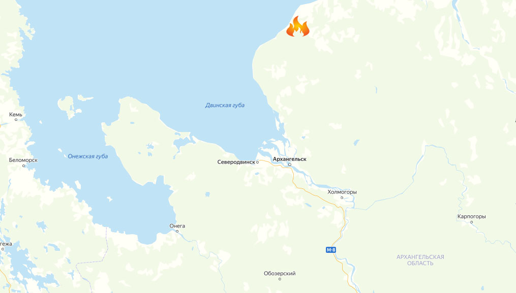 При пожаре в деревне Архангельской области погиб пенсионер